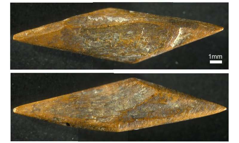 48,000-year-old arrowheads reveal early human innovation in the Sri Lankan rainforest