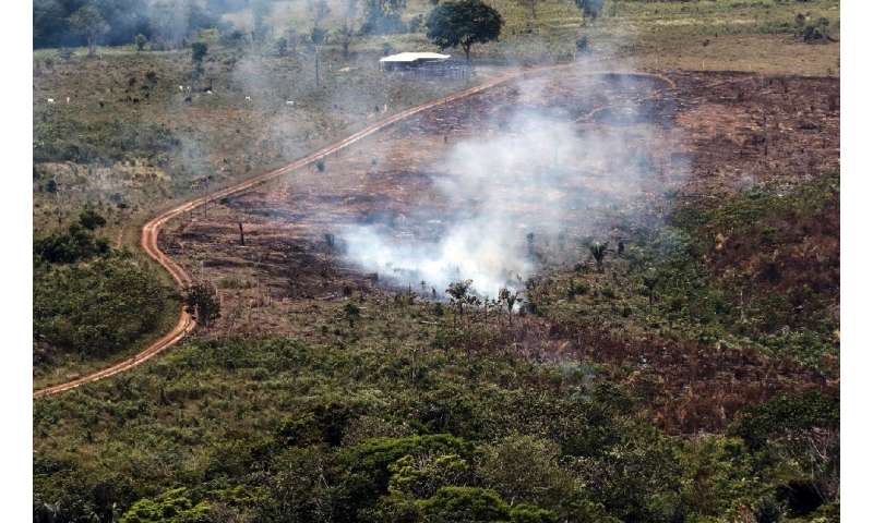 A handout picture from Colombia's Defence Ministry shows smoke billowing from the Sierra de La Macarena National Natural Park, C