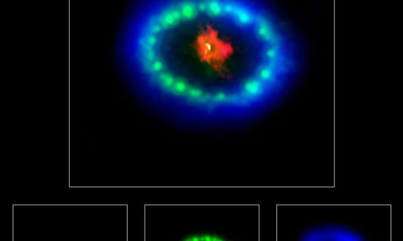 ALMA finds possible sign of neutron star in supernova 1987A