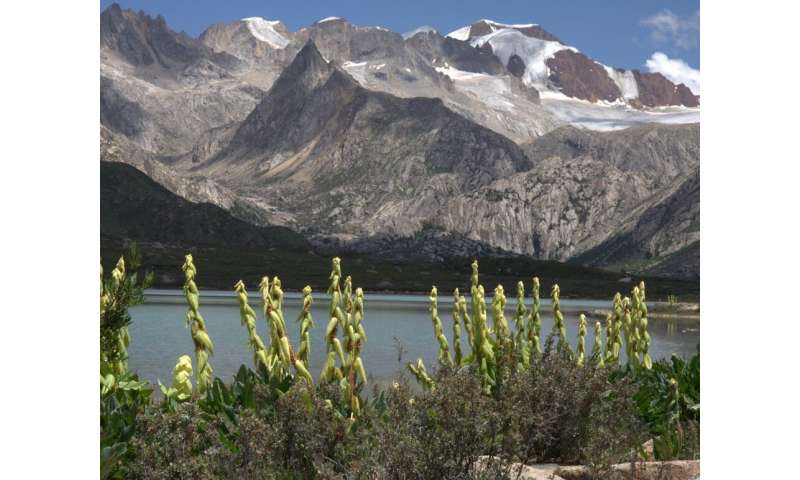 Ancient mountain formation and monsoons helped create a modern biodiversity hotspot
