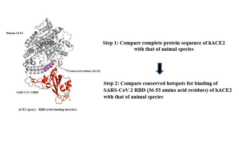 An open access software based tool for predicting COVID-19 susceptibility in animals