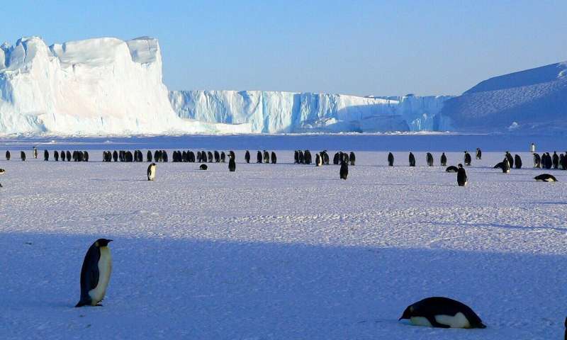 Pandemic reaches Antarctica, last untouched continent thumbnail