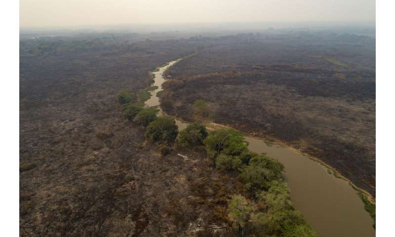 Battle on to save Brazil's tropical wetlands from flames