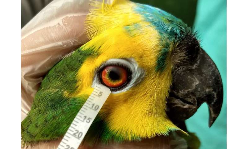 Bird and reptile tears aren't so different from human tears