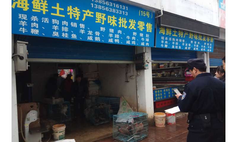 Brote de virus en China revive llamamientos para detener el comercio de vida silvestre