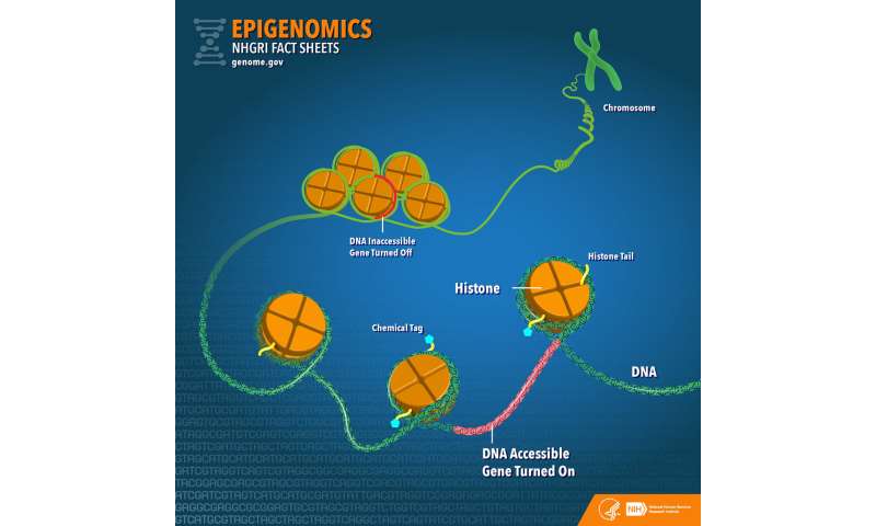 Comprehensive catalogue of the molecular elements that regulate genes