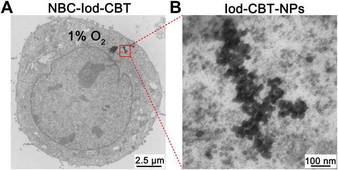 Directly observing intracellular nanoparticle formation with nano-computed tomography