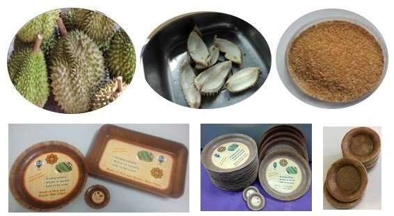 Durian skin biocomposite for take-out containers and 3-D printing