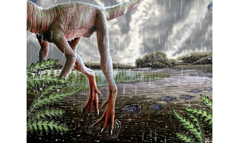 Insights into climate change during origin of dinosaurs