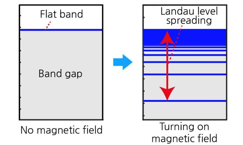 Manifestation of quantum distance in flat band materials