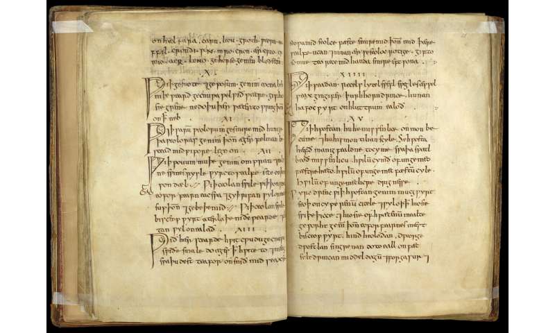 Medieval medicine remedy could provide new treatment for modern day infections