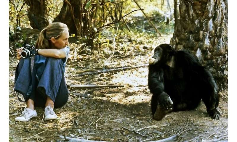 My talk with Jane Goodall: vegetarianism, animal welfare and the power of children’s advocacy