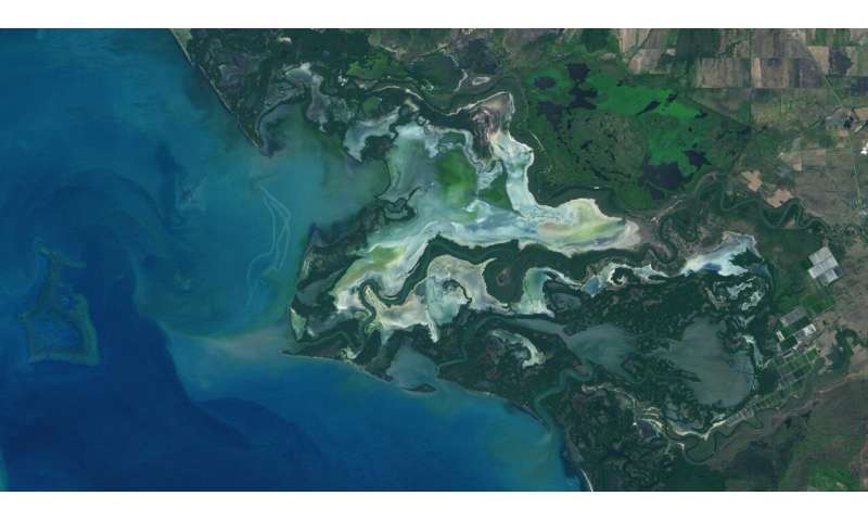 NASA study maps the roots of global mangrove loss