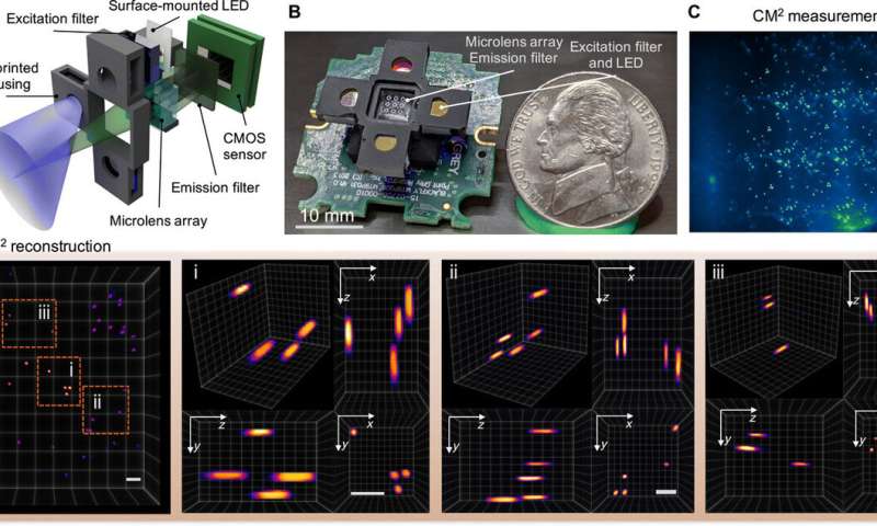 Single-shot 3D wide-field fluorescence imaging with a Computational Miniature Mesoscope