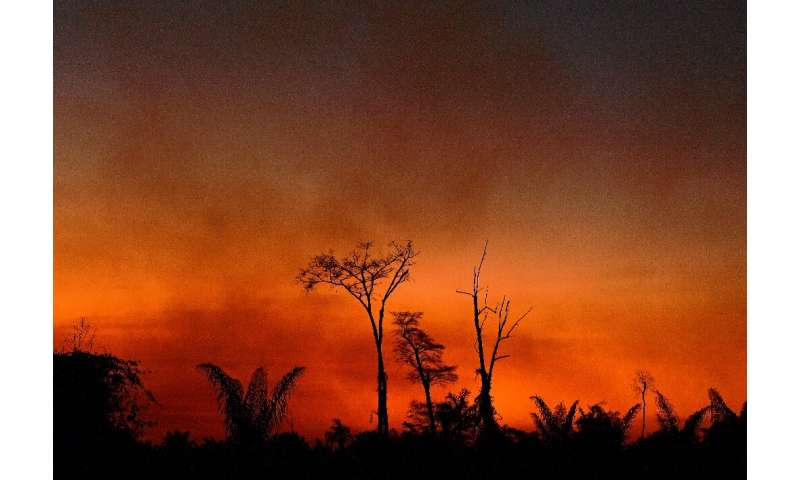 Smoke rises from a burned area in the Xingu Indigenous Park, Mato Grosso state, Brazil, in the Amazon basin, on August 6, 2020