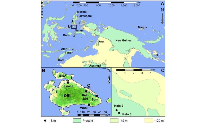 Stone tools reveal how island-hopping humans made a living