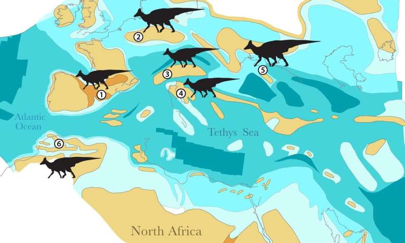 El primer fósil de dinosaurio con pico de pato de África muestra cómo los dinosaurios una vez cruzaron los océanos