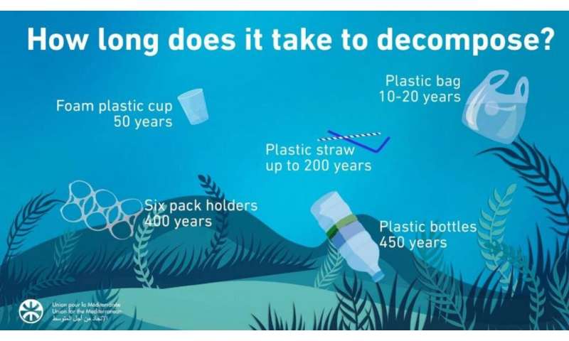 The many lifetimes of plastics