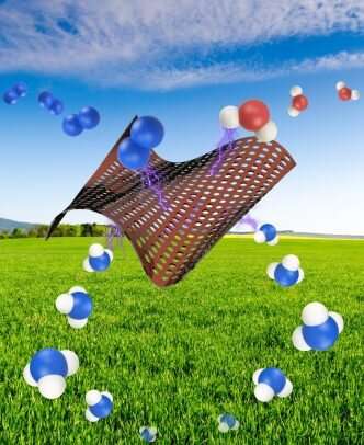 I ricercatori dell'UIC identificano un nuovo processo per produrre ammoniaca con un'impronta di carbonio molto inferiore