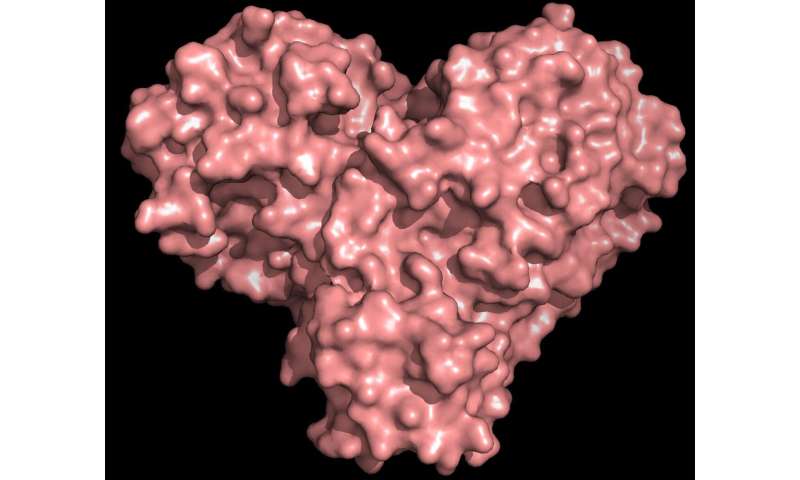 X Rays Size Up Protein Structure At The Heart Of Covid 19 Virus News - jeiky sisnero roblox amino en español amino