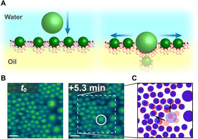Nanoparticle jamming at the water-oil interface