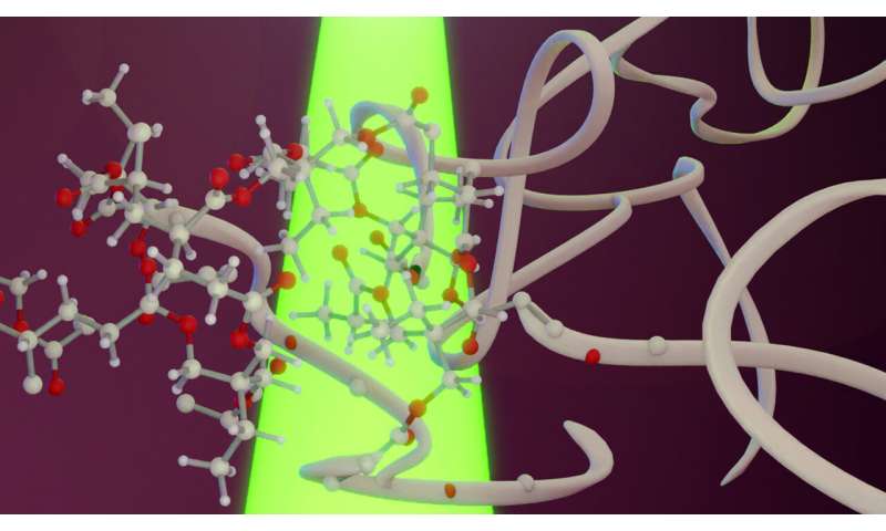 Researchers discover new photoactivation mechanism for polymer production
