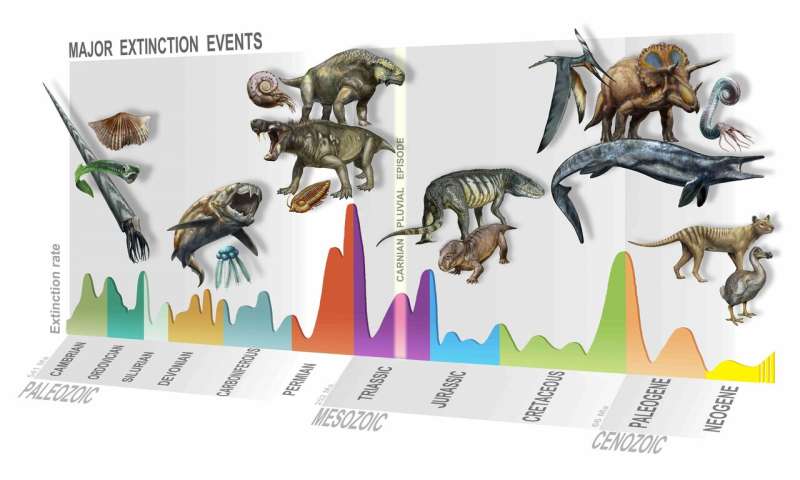 Discovery of a new mass extinction