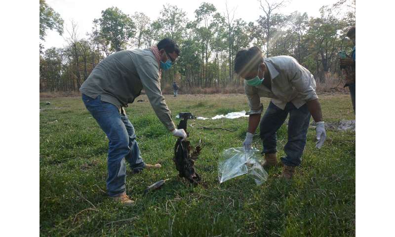 Wildlife Conservation Research - Coronavirus lockdowns increase poaching in Asia, Africa