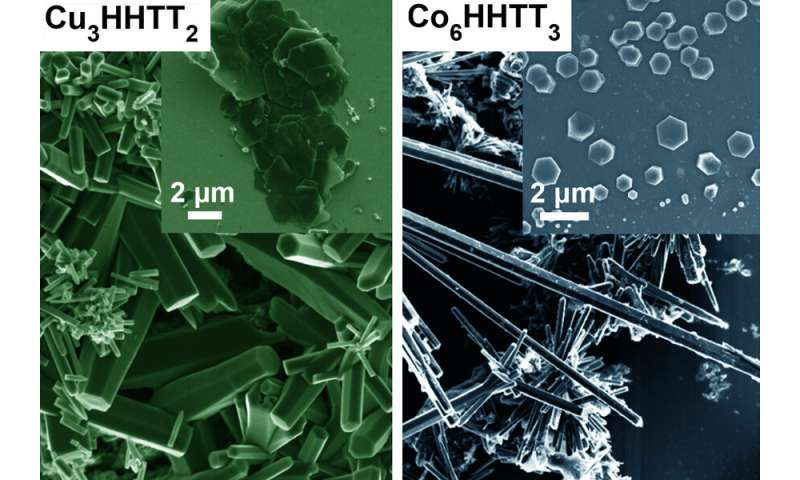 Researchers decipher the structure of promising organic metal structures