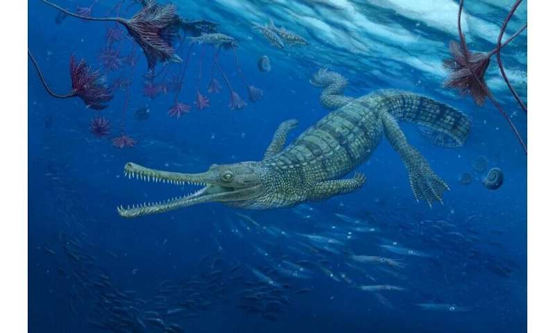 Ancient crocodiles' family tree reveals unexpected twists and turns