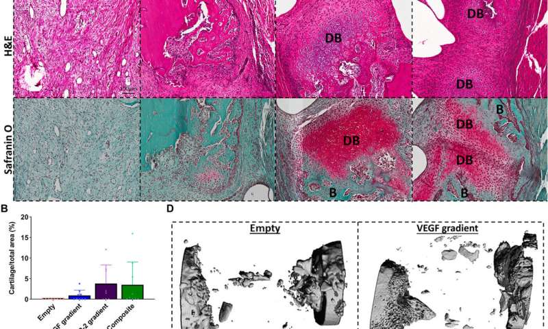 Controlled tissue regeneration with 3-D bioprinted spatiotemporally defined patterns of growth factors.