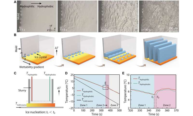 Controlling ice formation on gradient wettability surfaces for high-performance bioinspired materials