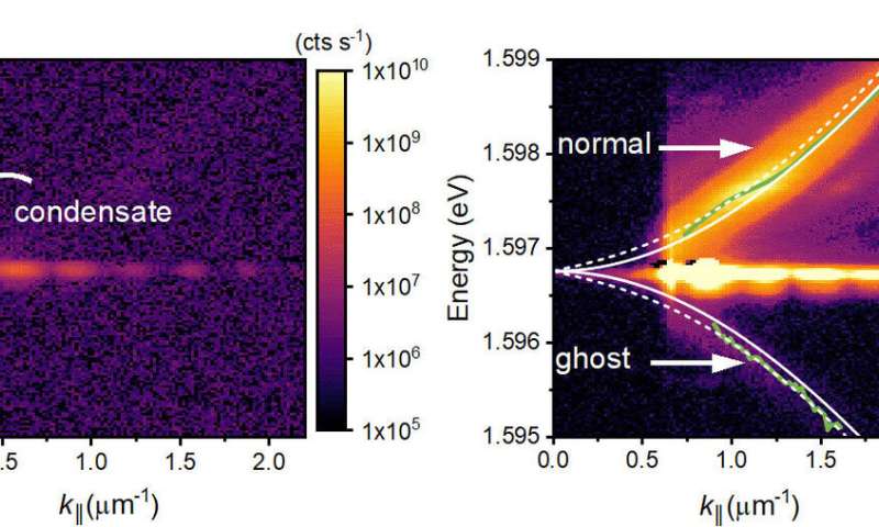 Ghostly particles detected in condensates of light and matter
