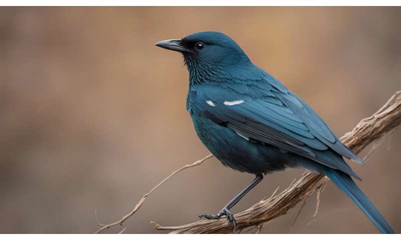 Rewilding Las Aves Raras Regresan Cuando El Pastoreo De Ganado Se Ha Detenido