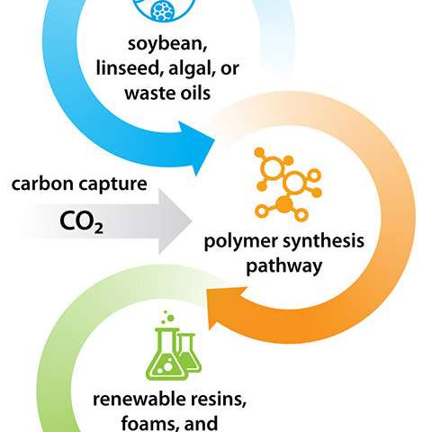 Scientists offer companies a novel chemistry for greener polyurethane