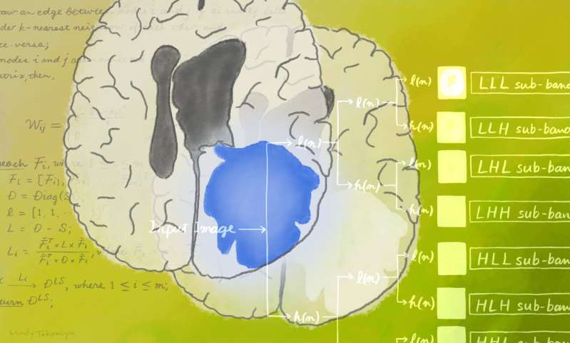 Artificial intelligence enhances brain tumour diagnosis