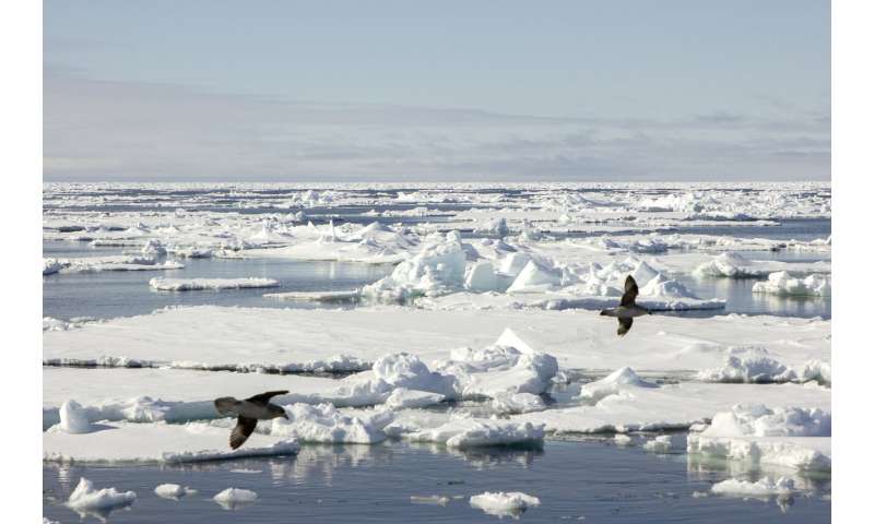 Artificial intelligence could revolutionize sea ice warnings