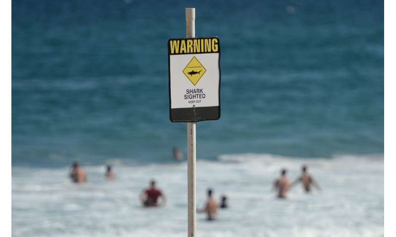 Australia has one of the world's highest incidences of shark attacks and there have been five fatal maulings in the country so f