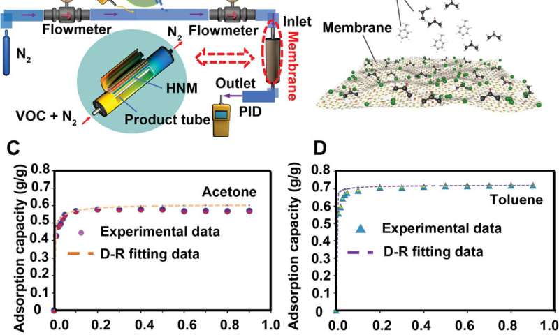 Designing hierarchical nanoporous membranes for highly efficient adsorption and storage applications