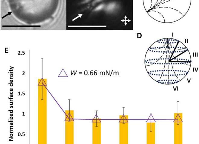 Programming van der Waals interactions with complex symmetries into microparticles using liquid crystallinity