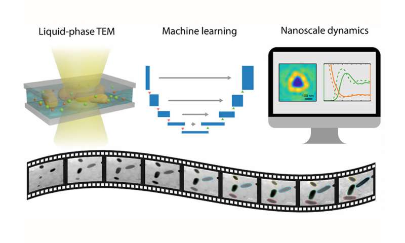Machine learning peeks into nano-aquariums