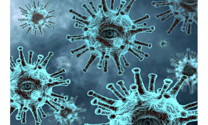 Poland reports record rise in coronavirus deaths thumbnail