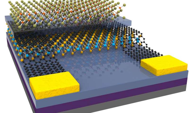 Programmable electronics based on the reversible doping of 2D semiconductors