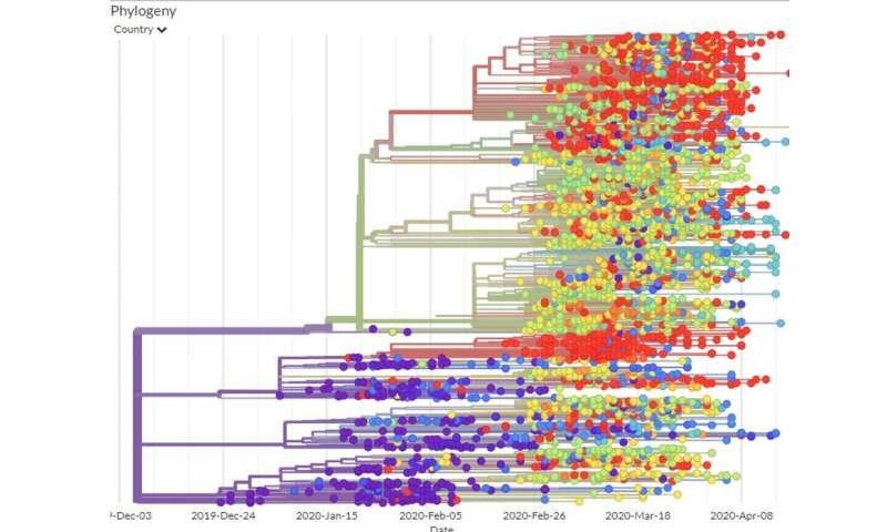 冠状病毒基因组就像一个运输标签，让流行病学家追踪它已经存在