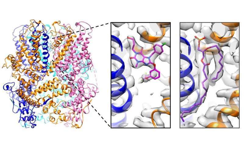 Understanding ion channel inhibition to open doors in drug discovery