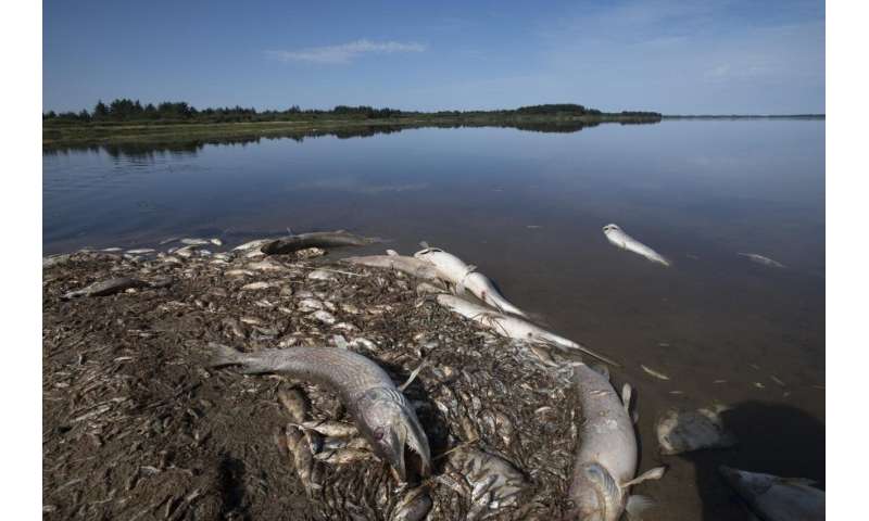Climate change: Heavy rain after drought may cause fish kills