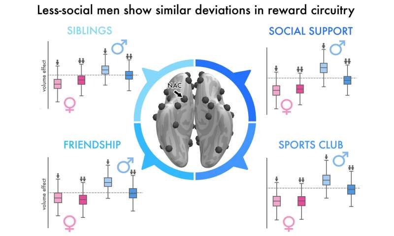 Study shows major gender differences in the human social brain
