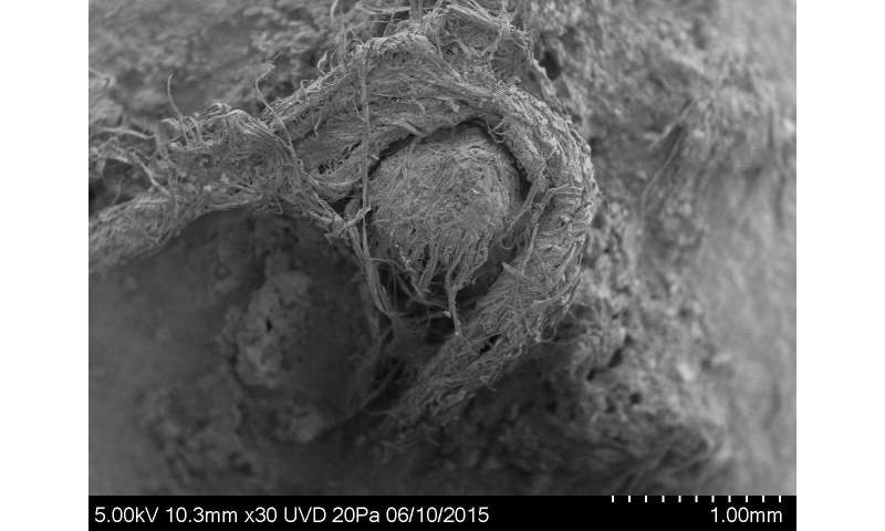 Ancient string discovery sheds light on Neanderthal life