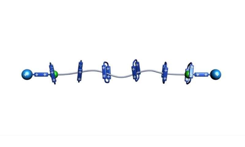 Tiny pump builds polyrotaxanes with precision