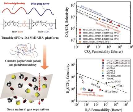 Polyimide membranes for the purification of natural gas